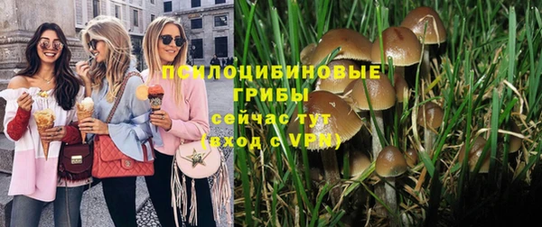 наркотики Бородино