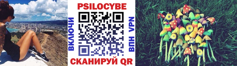 Галлюциногенные грибы Magic Shrooms  где продают   Ковдор 
